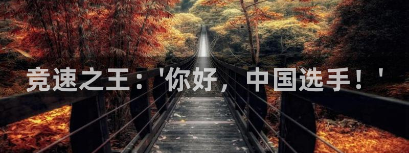 3377体育官网下载招商电话号码查询是多少:竞速之王:\'你