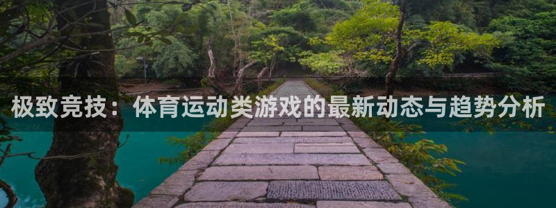 3377体育官网下载招商电话是多少号码:极致竞技:体育运动类